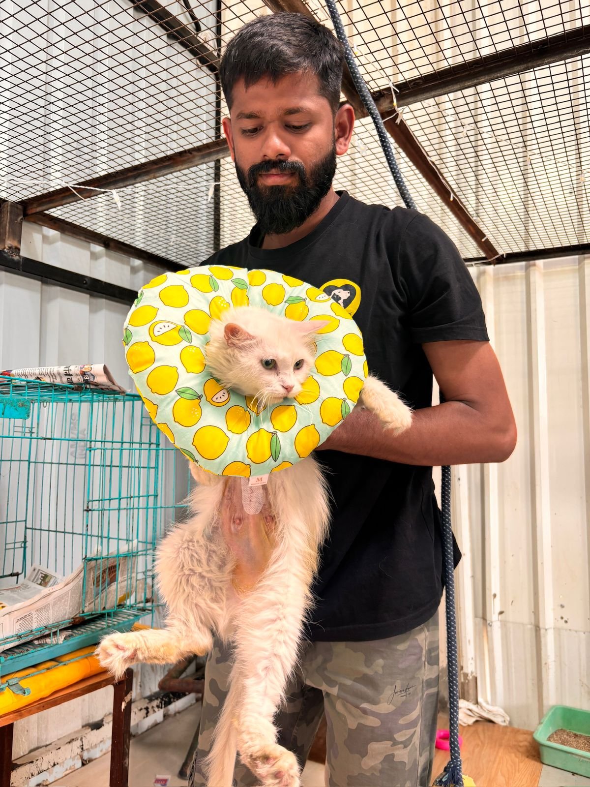 About Us 14 Kamlesh Sahu Senior Vet Tech saahas for animals ngo pune