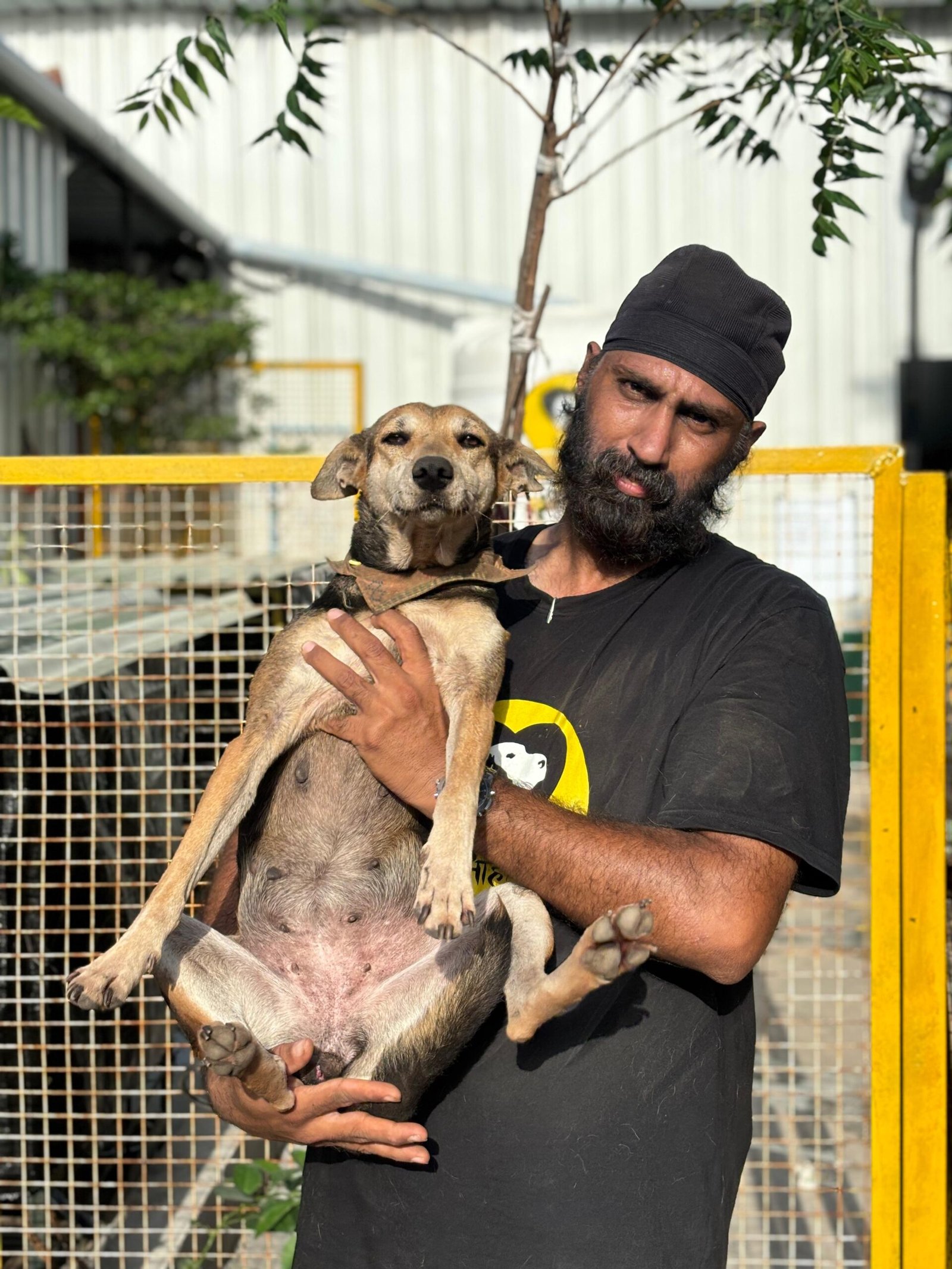 About Us 8 Parabjeet Matta Shelter manager saahas for animals ngo pune