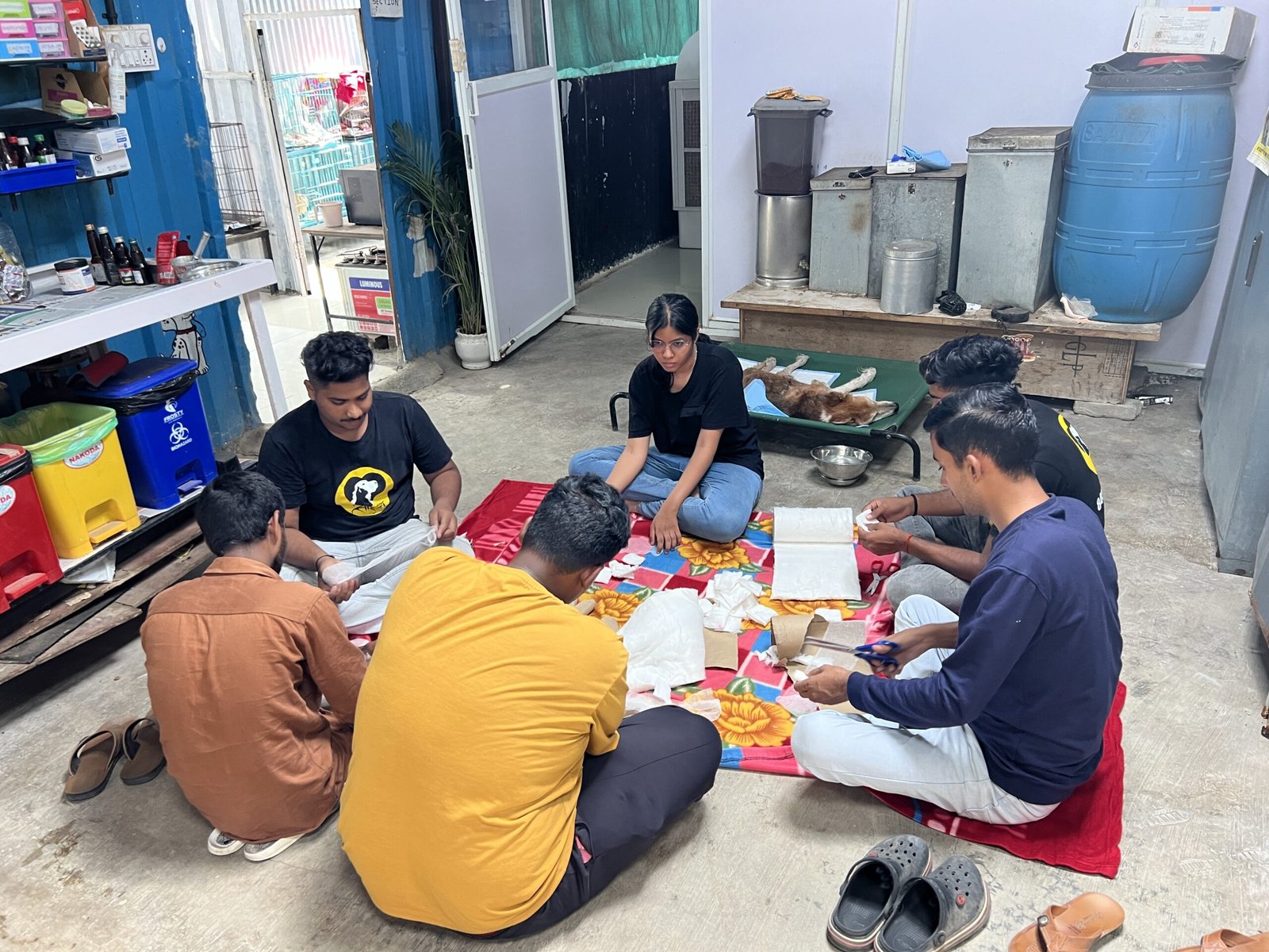 Saahas volunteers caring for animals