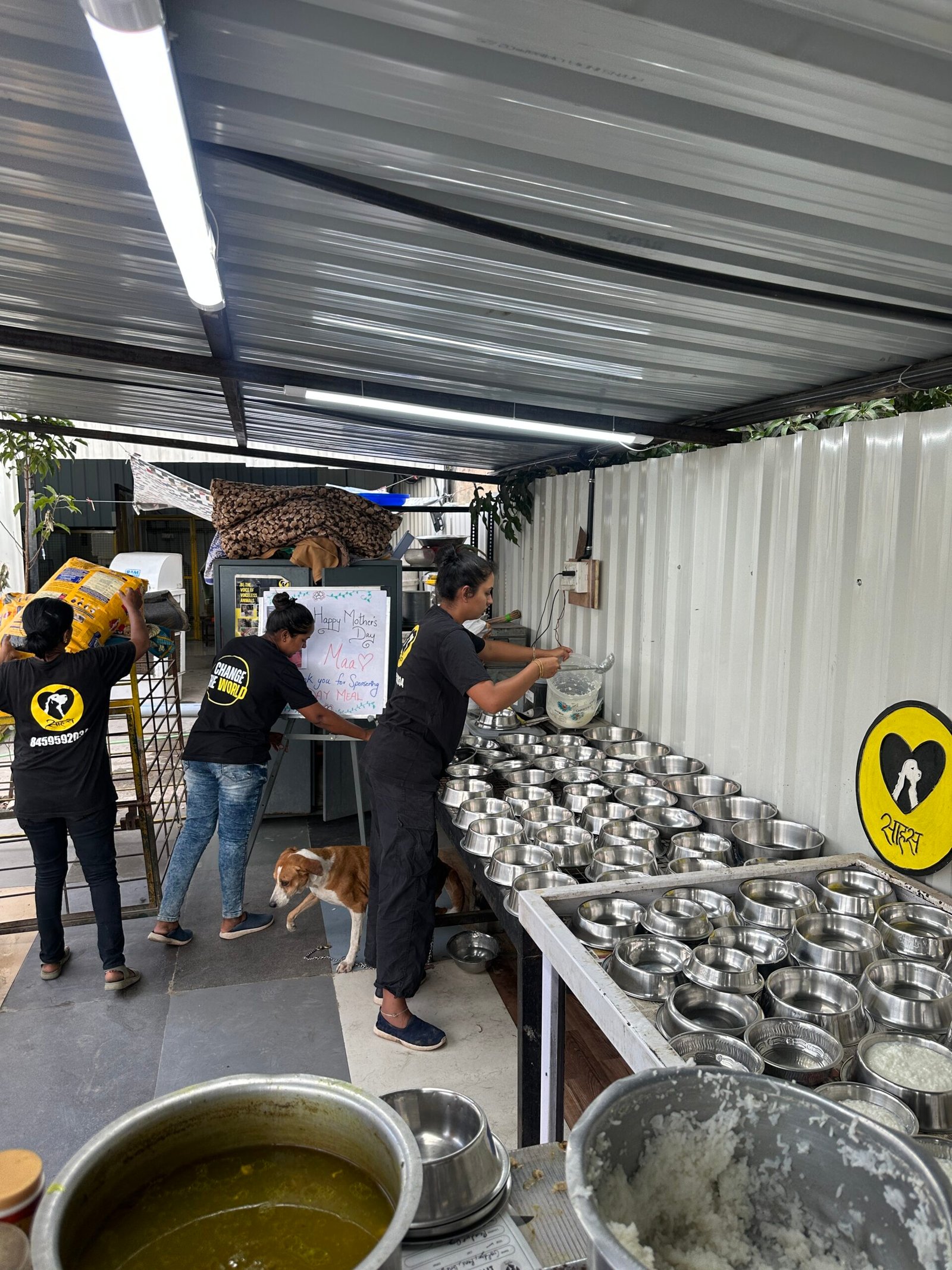 Animal rescue