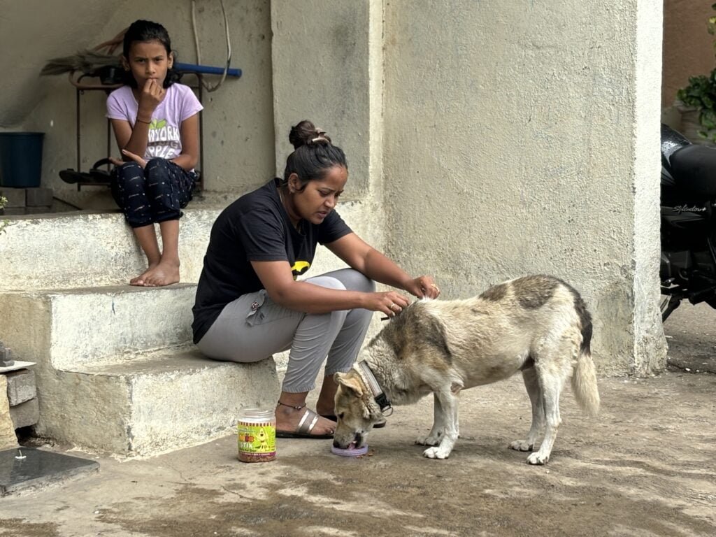 Vaccination camp