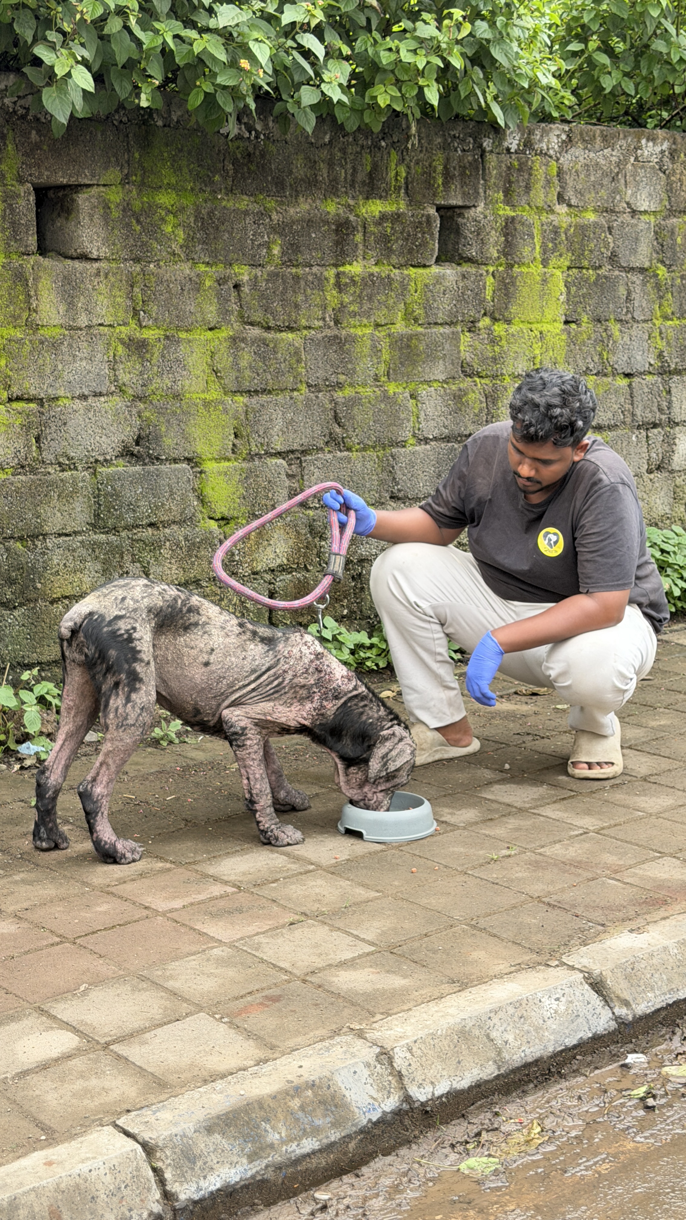 Tara at the shelter