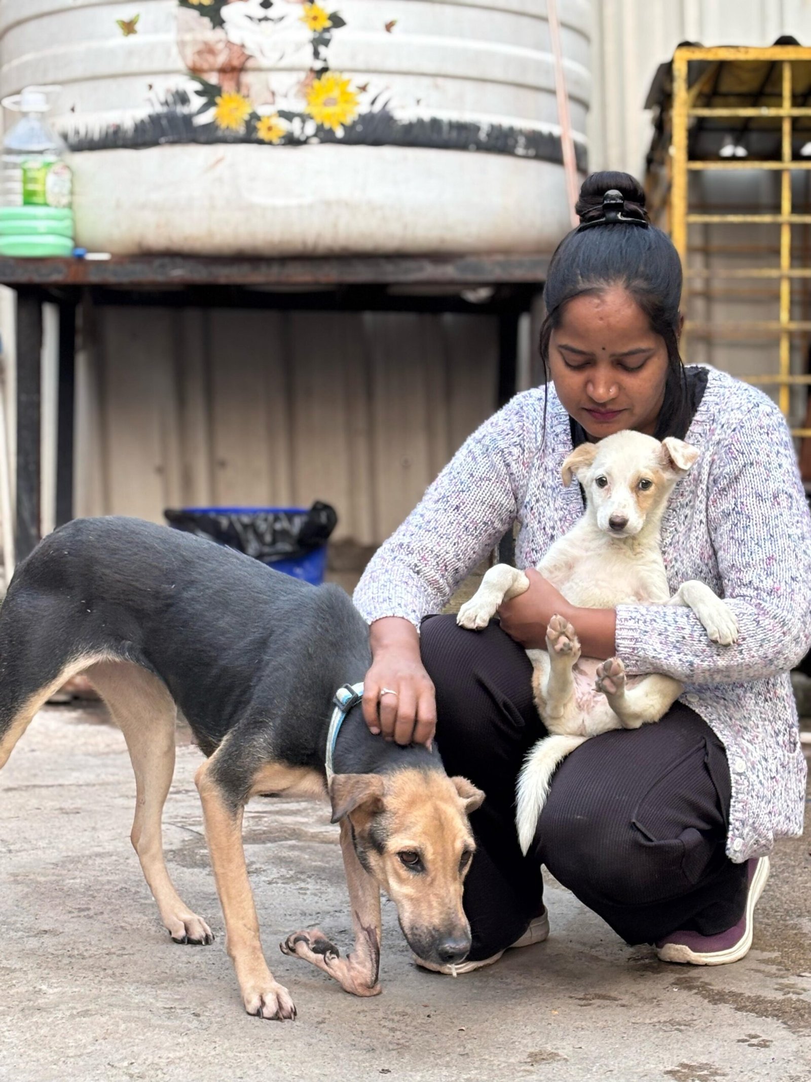 Rescue Operations - field team helping an injured animal