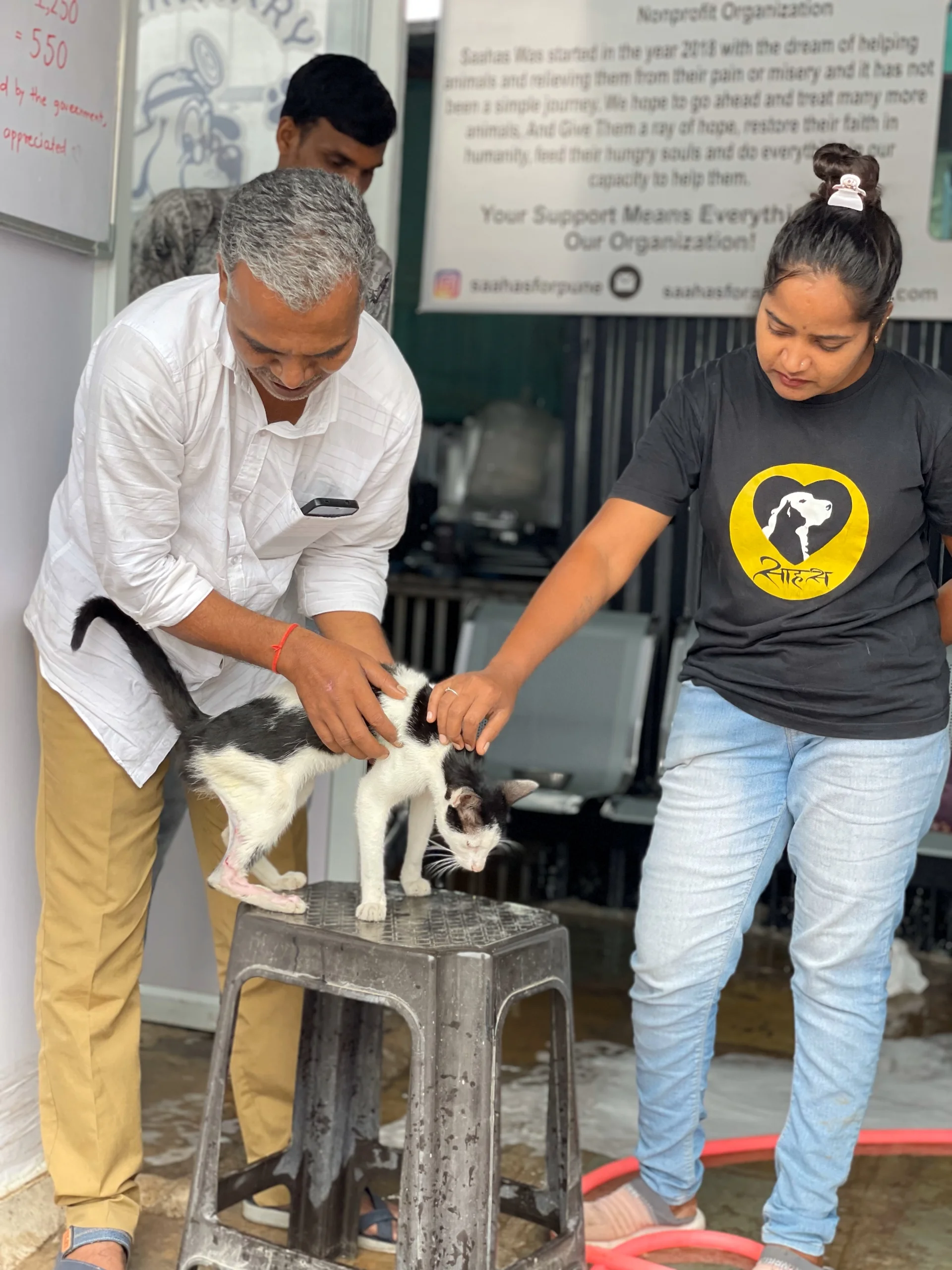 Rescue Operations 11 Saahas For Animals Rated #1 NGO for Stray Animals in Pune