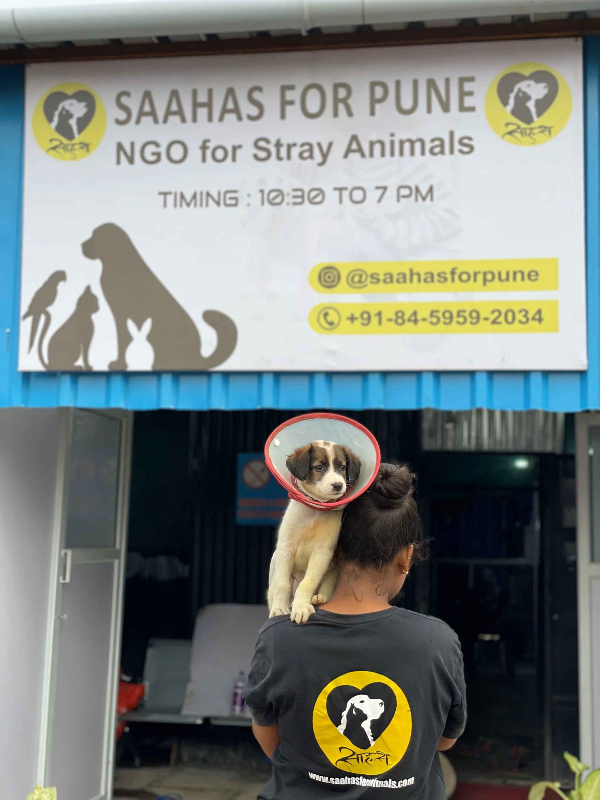 Rescue Operations 4 Saahas For Animals Rated #1 NGO for Stray Animals in Pune