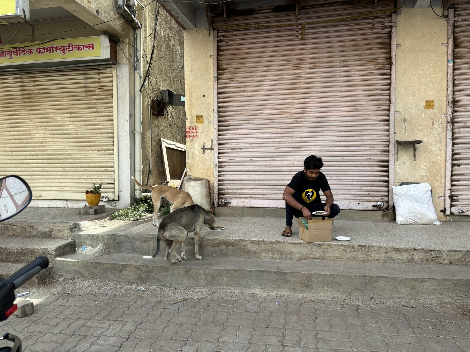 feeding drive Saahas For Animals Rated #1 NGO for Stray Animals in Pune