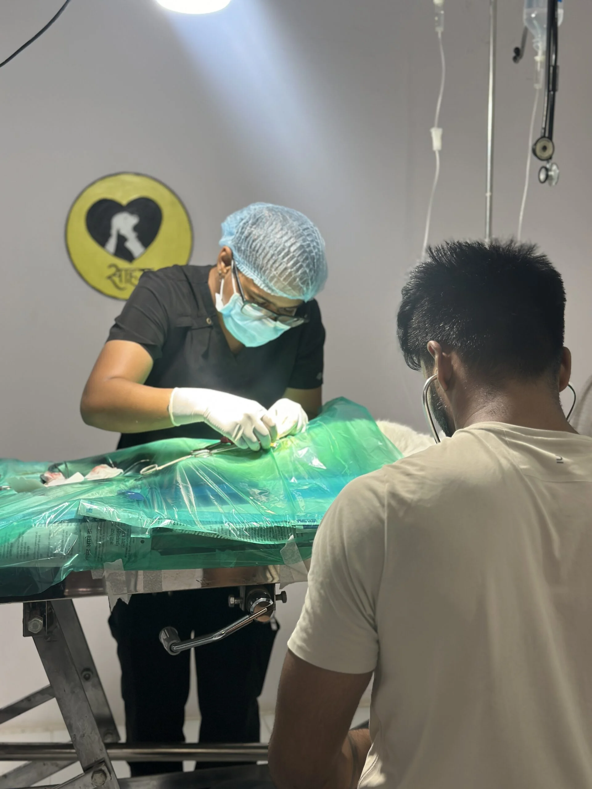 Saahas For Animals Rated #1 NGO for Stray Animals in Pune