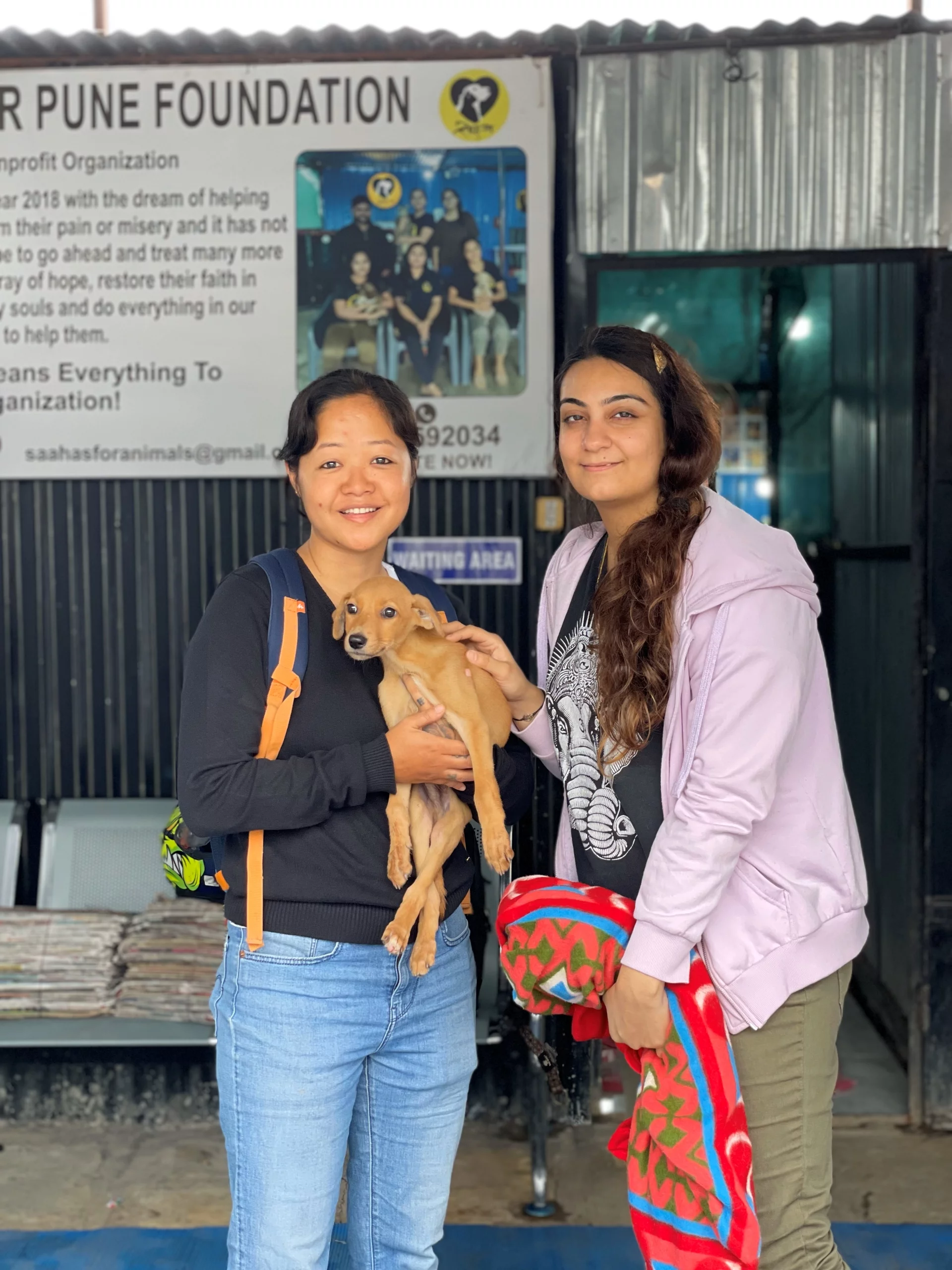 Virtually Adopt An Animal 1 Saahas For Animals Rated #1 NGO for Stray Animals in Pune