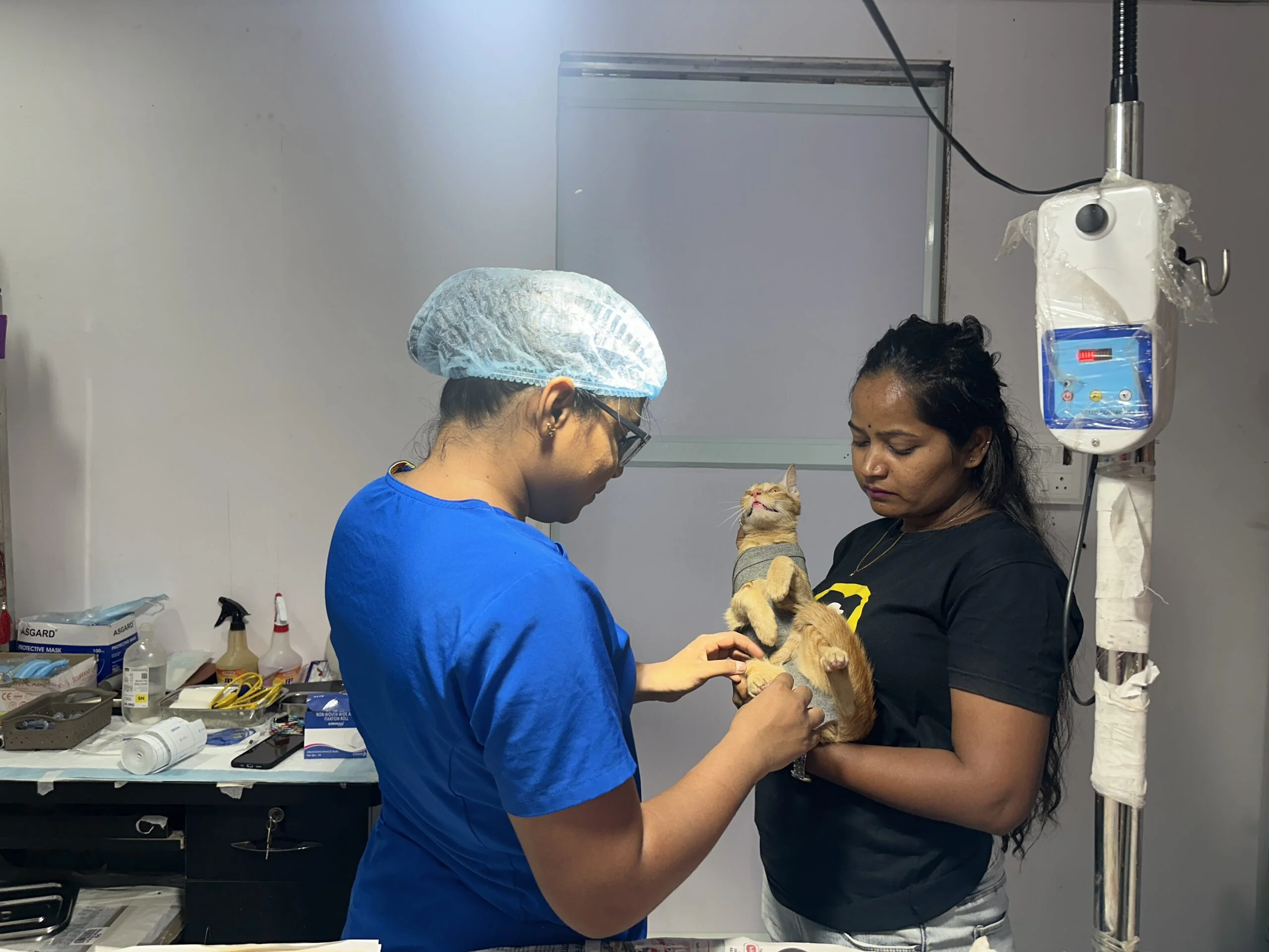 Rescue Operations 3 Saahas For Animals Rated #1 NGO for Stray Animals in Pune