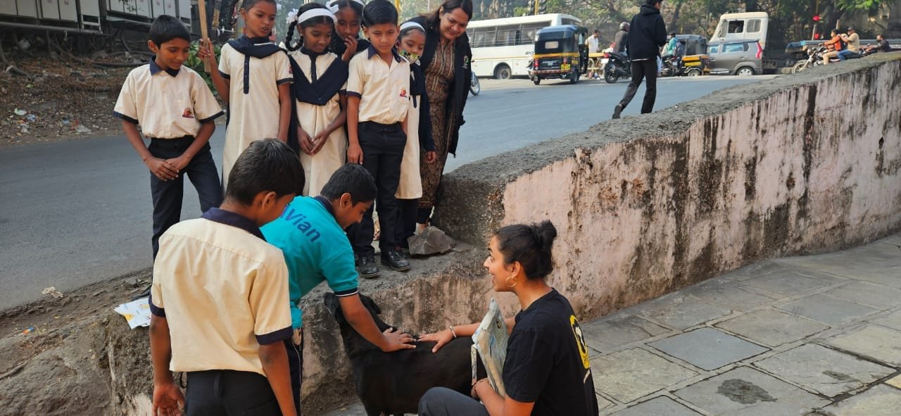 saahas in collab with iteach schools saahas for animals rated #1 NGO for stray animals in Pune