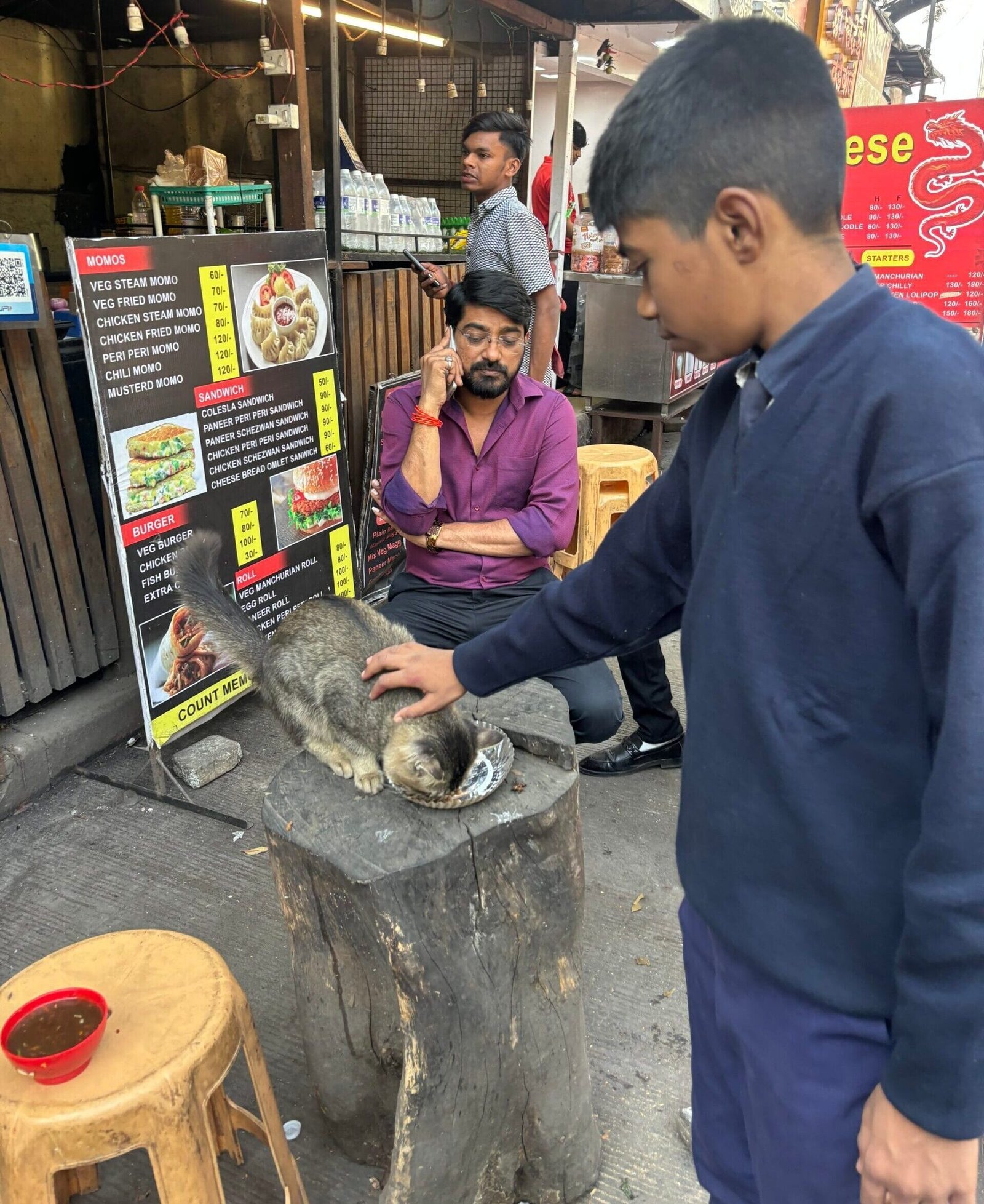 Outreach Activities 4 saahas in collab with iteach schools saahas for animals rated #1 NGO for stray animals in Pune