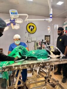 Understanding Dog Mating, Behaviour, and Why Awareness Matters