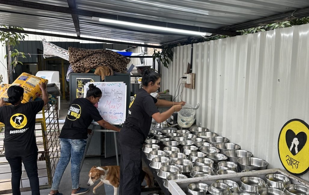 Home - Saahas For Animals 25 one day meals preparation done by people at saahas