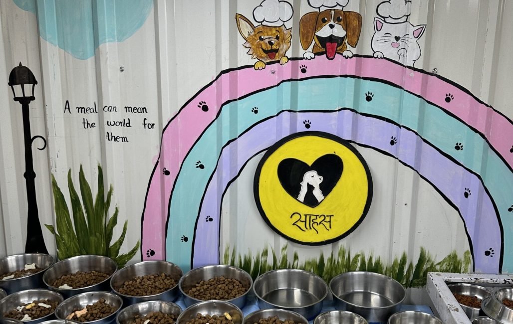 Home - Saahas For Animals 24 one day meals prepared by people at saahas