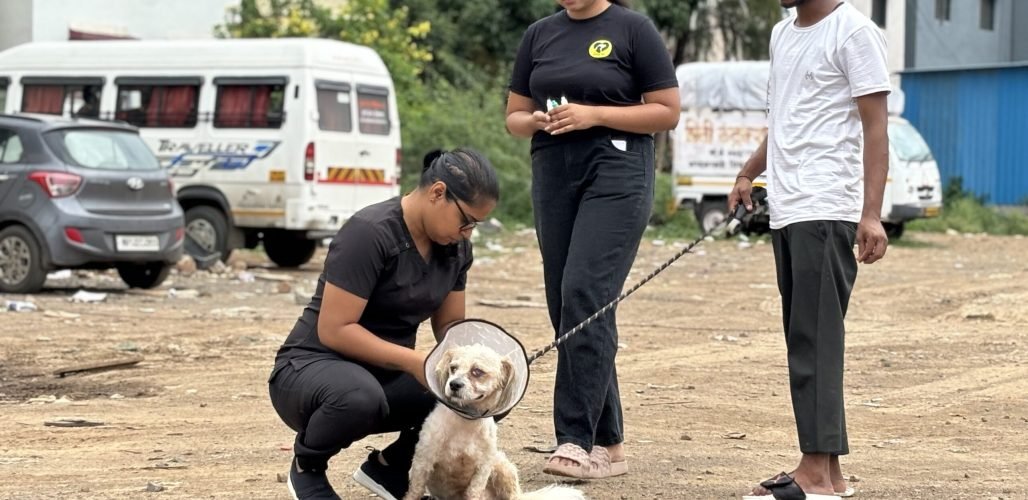 Home - Saahas For Animals 10 vaccination drive Saahas For Animals Rated #1 NGO for Stray Animals in Pune
